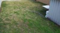 104B Janis Street, HALLS HEAD, WA 6210 AUS