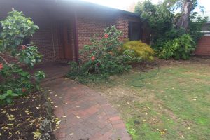 16 Flavia Street, Falcon, WA 6210 AUS