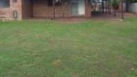 16 Flavia Street, Falcon, WA 6210 AUS