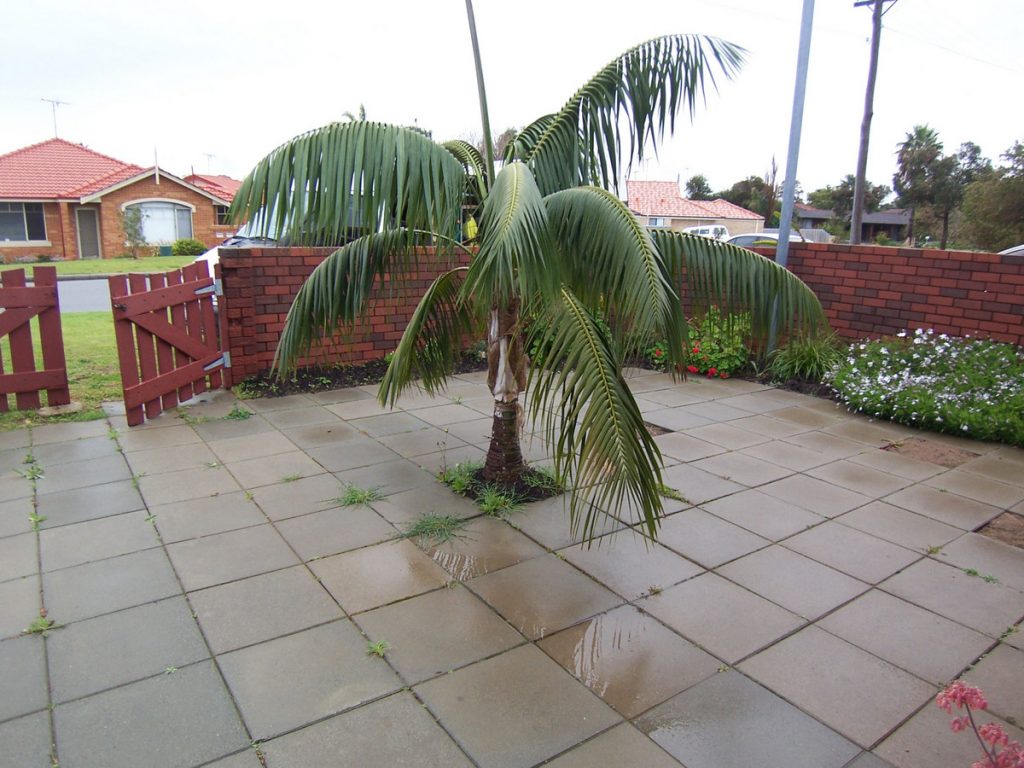 1/11 Lefroy Street, Mandurah - Thumbnail 6