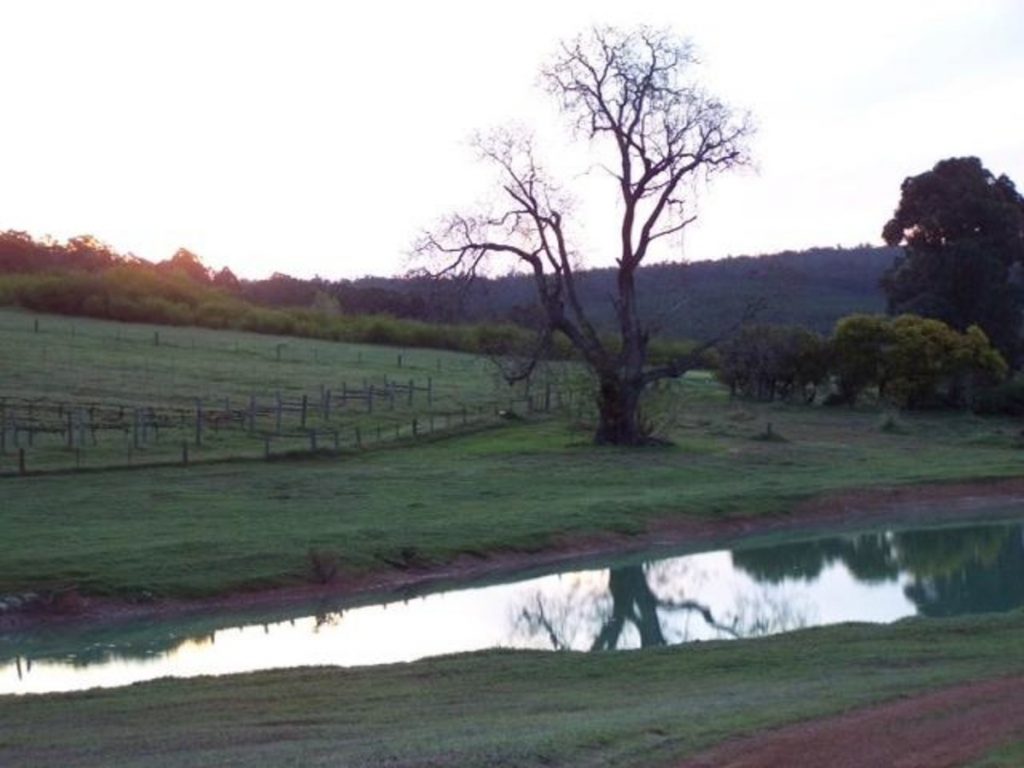 3020 Pinjarra-Williams Road, Dwellingup - Thumbnail 6