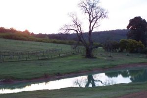 3020 Pinjarra-Williams Road, DWELLINGUP, WA 6213 AUS