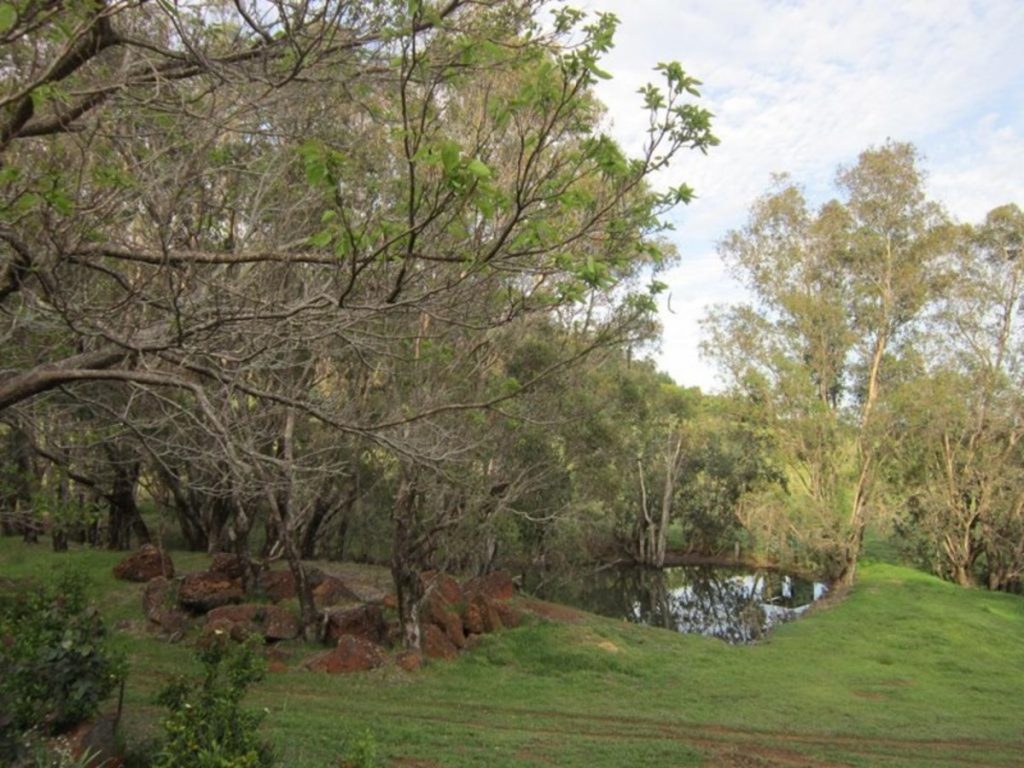 3020 Pinjarra-Williams Road, Dwellingup - Thumbnail 5