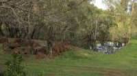 3020 Pinjarra-Williams Road, DWELLINGUP, WA 6213 AUS