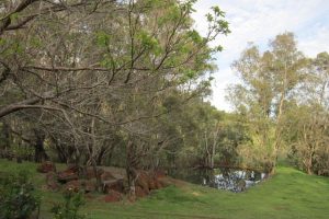 3020 Pinjarra-Williams Road, DWELLINGUP, WA 6213 AUS