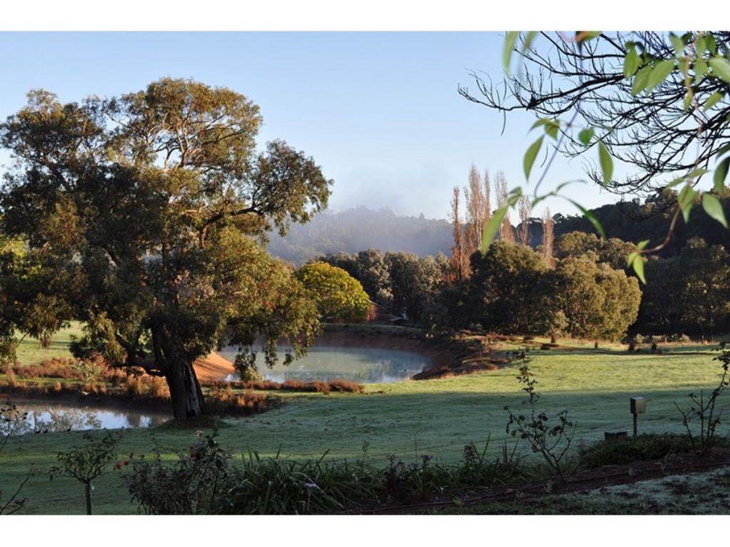 3020 Pinjarra-Williams Road, Dwellingup - Thumbnail 4