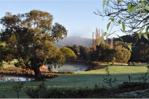 3020 Pinjarra-Williams Road, DWELLINGUP, WA 6213 AUS