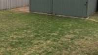 11 Mariner Place, Halls Head, WA 6210 AUS