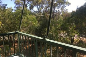 1 Ewing Crescent, DAWESVILLE, WA 6211 AUS