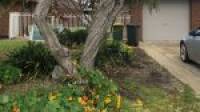 2 Muir Place, Halls Head, WA 6210 AUS
