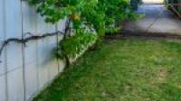 21 Mistral Street, Falcon, WA 6210 AUS