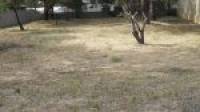40 Olive Road, Falcon, WA 6210 AUS