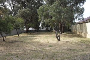 40 Olive Road, Falcon, WA 6210 AUS