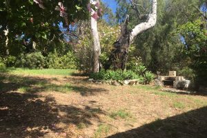 1 Ewing Crescent, DAWESVILLE, WA 6211 AUS