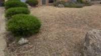 32 Casuarina Drive, HALLS HEAD, WA 6210 AUS