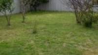 54 Leslie Street, DUDLEY PARK, WA 6210 AUS