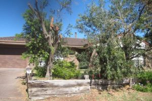 1 Illabrook Street, DUDLEY PARK, WA 6210 AUS