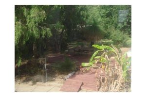 3 Estuary View Road, DAWESVILLE, WA 6211 AUS