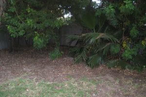 8 Clyde Place, SILVER SANDS, WA 6210 AUS