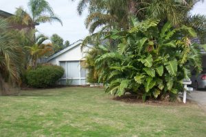 5 Carabeen Place, HALLS HEAD, WA 6210 AUS