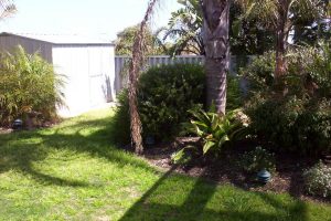 5 Carabeen Place, HALLS HEAD, WA 6210 AUS