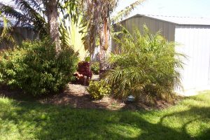 5 Carabeen Place, HALLS HEAD, WA 6210 AUS