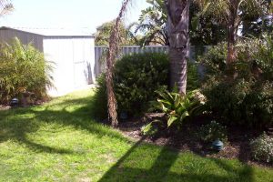 5 Carabeen Place, HALLS HEAD, WA 6210 AUS