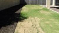 3 Adriana Way, Halls Head, WA 6210 AUS