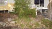 17 Charon Road, Falcon, WA 6210 AUS