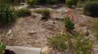 616 Southern Estuary Road, Lake Clifton, WA 6215 AUS