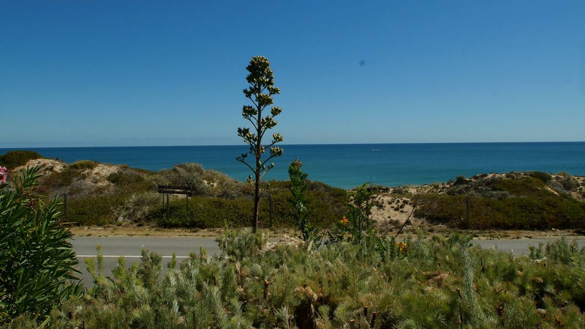 2/35A Halls Head Parade, Halls Head, WA 6210 AUS