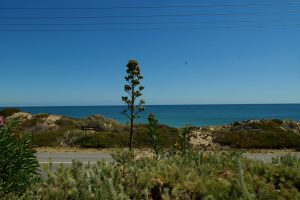2/35A Halls Head Parade, Halls Head, WA 6210 AUS