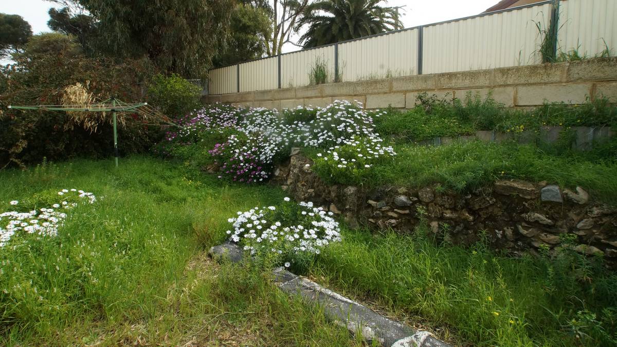 53B Cobblers Street, Falcon, WA 6210 AUS