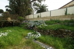 53B Cobblers Street, Falcon, WA 6210 AUS