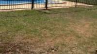 37 Everlasting Retreat, Halls Head, WA 6210 AUS