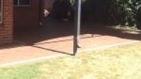37 Everlasting Retreat, Halls Head, WA 6210 AUS
