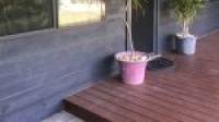 1 Mistral Street, Falcon, WA 6210 AUS