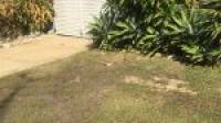 1 Mistral Street, Falcon, WA 6210 AUS