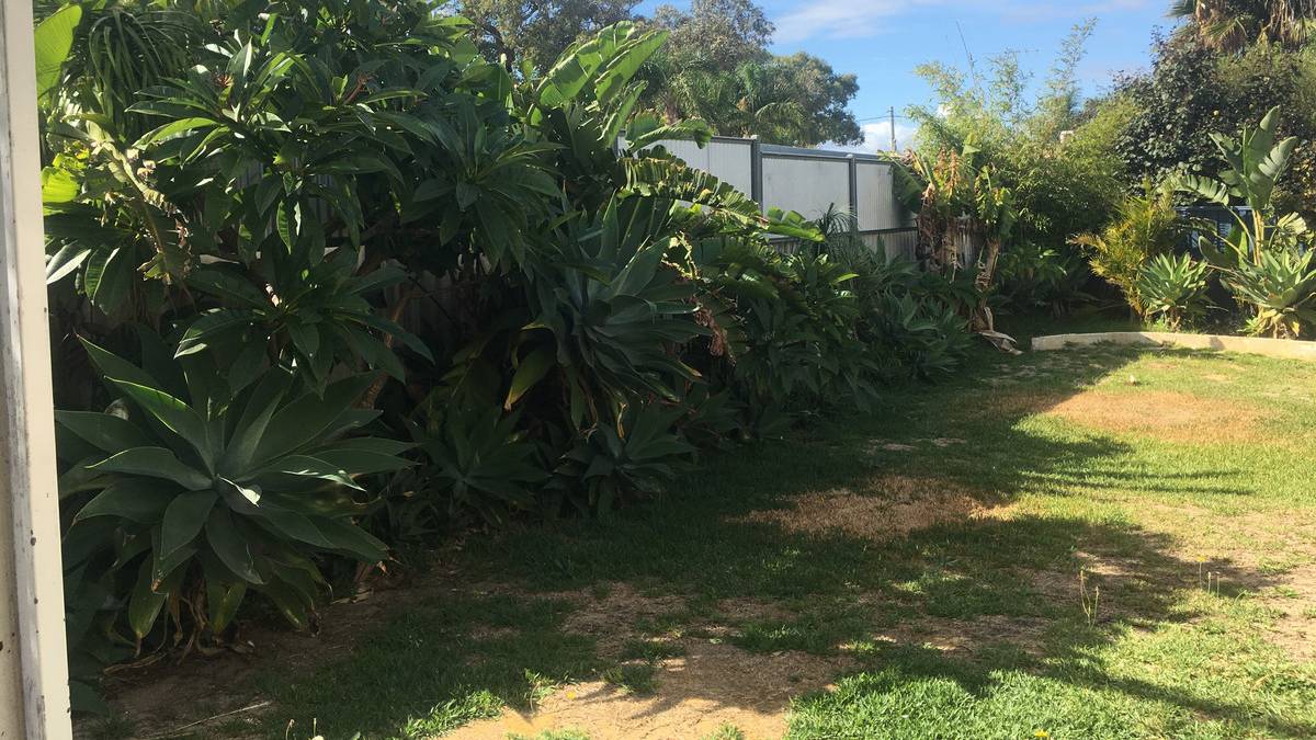 1 Mistral Street, Falcon, WA 6210 AUS