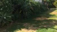 1 Mistral Street, Falcon, WA 6210 AUS