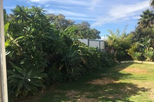 1 Mistral Street, Falcon, WA 6210 AUS