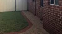 11 Mariner Place, Halls Head, WA 6210 AUS