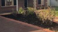 11 Mariner Place, Halls Head, WA 6210 AUS