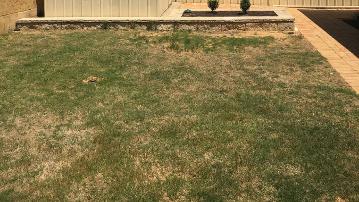 20 Loretta Parkway, Lakelands, WA 6180 AUS