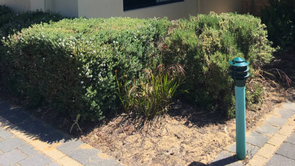 5/17 Allnutt Street, Mandurah, WA 6210 AUS