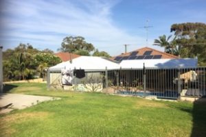 20 Eldora Crescent, Falcon, WA 6210 AUS