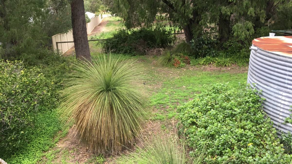 3 Tanjinn Street, DAWESVILLE, WA 6211 AUS