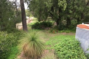 3 Tanjinn Street, DAWESVILLE, WA 6211 AUS
