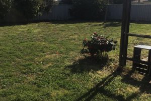 1 Illabrook Street, Dudley Park, WA 6210 AUS