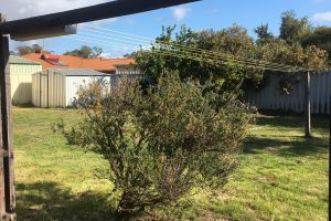 1 Illabrook Street, Dudley Park, WA 6210 AUS